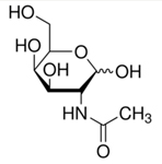 N-Acetyl-D-Galactosamine