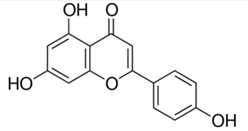 Apigenin