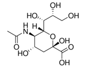 N-Acetylneuraminic Acid, Neu5Ac, Sialic acid